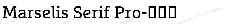 Marselis Serif Pro字体转换